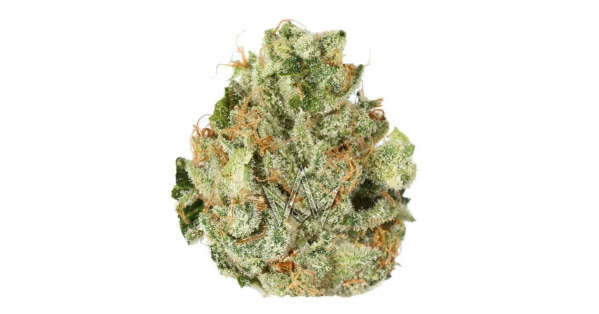 Tropicanna