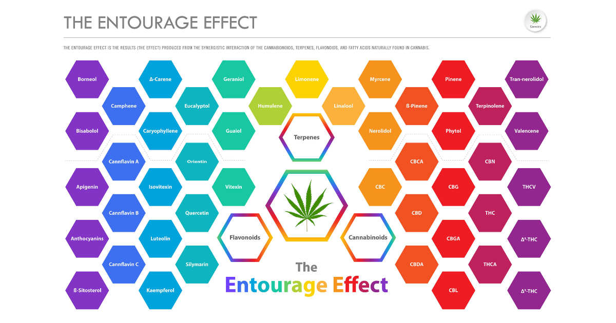 The Entourage Effect