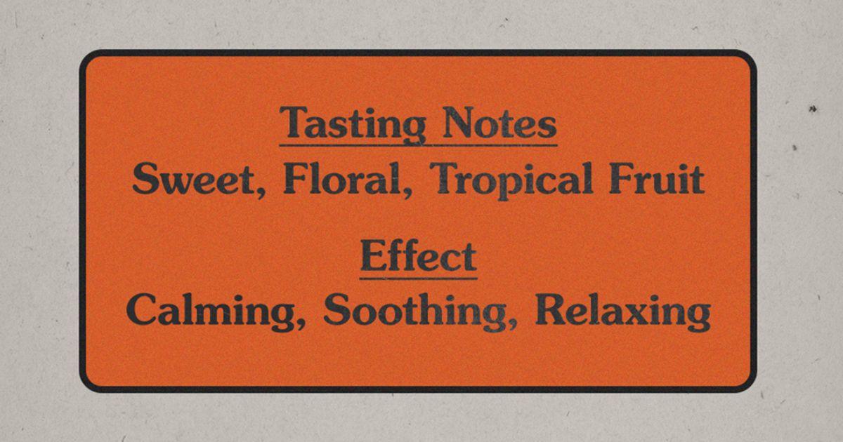 Tropical + Floral Class