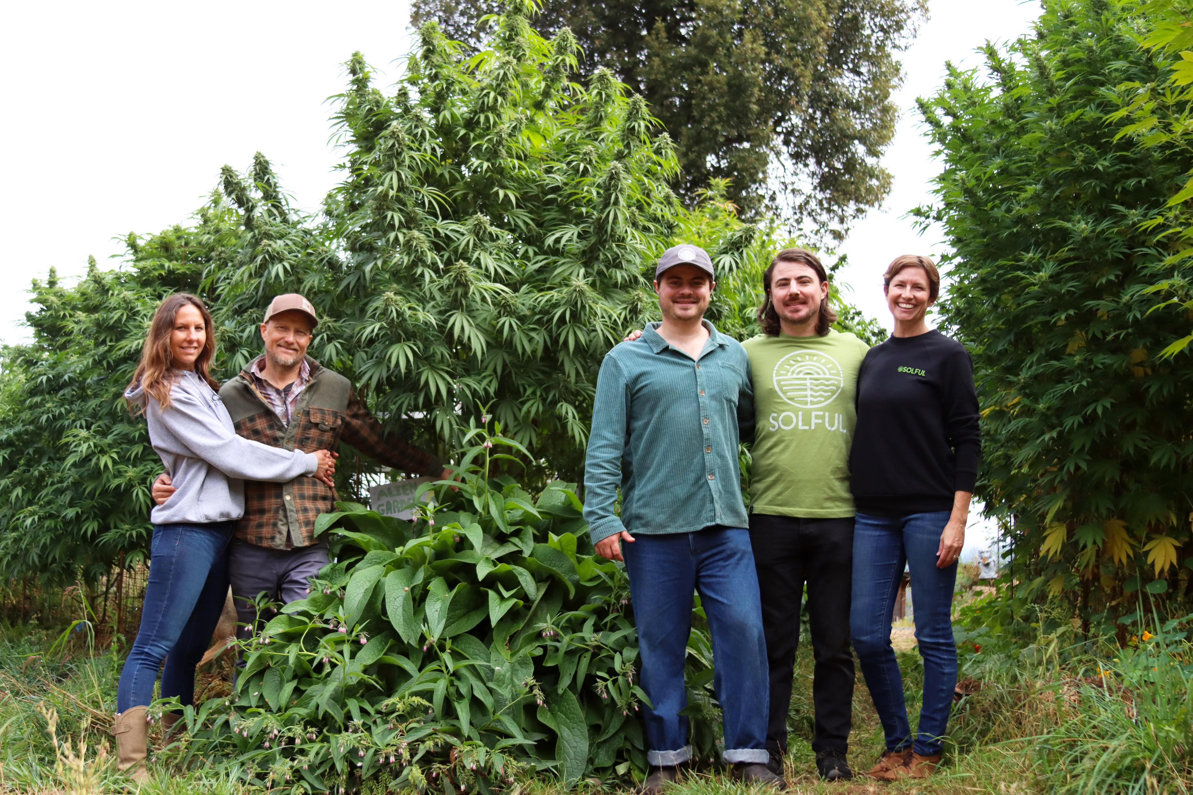 Why Northern California Craft Sun-Grown Cannabis