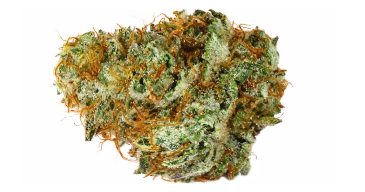 Cookies N' Cream #2 Living Soil Flower - No Till Kings