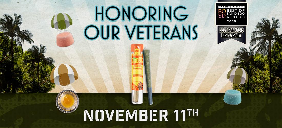 Veterans Promo Web Hero Graphic