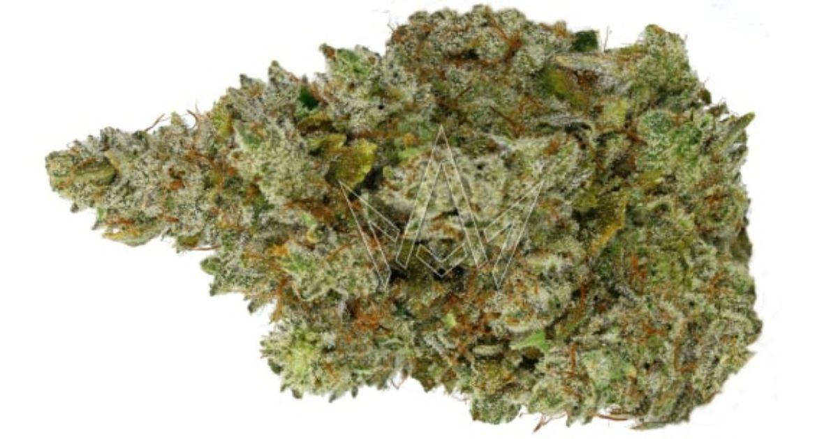 Cali Coco