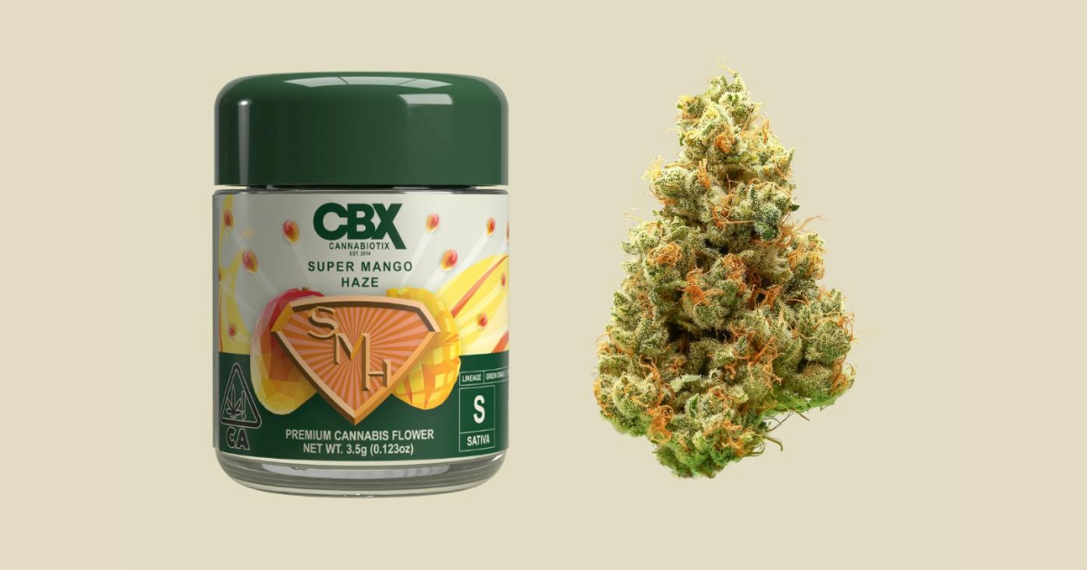 #5 – Cannabiotix | Super Mango Haze