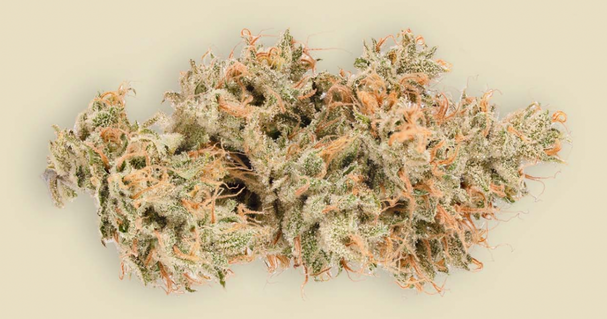 #10 – Heirbloom | Super Silver Haze