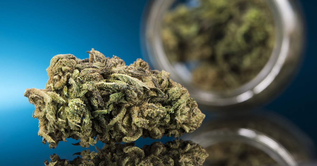 How Does Cannabis Affect the Immune System?