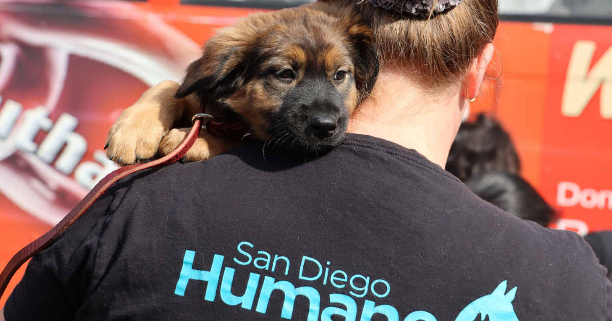 The Humane Society