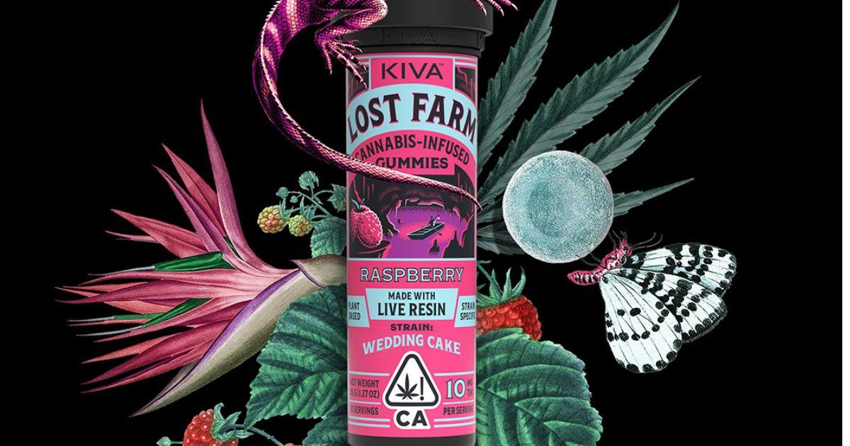 Lost Farm