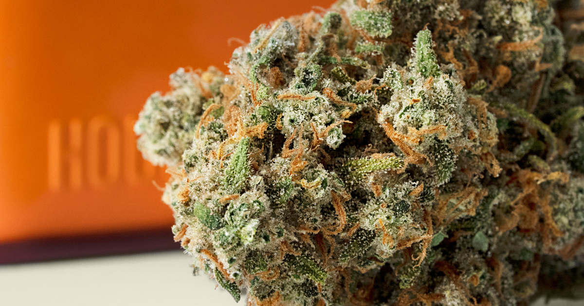 DIABLO WIND (SATIVA)