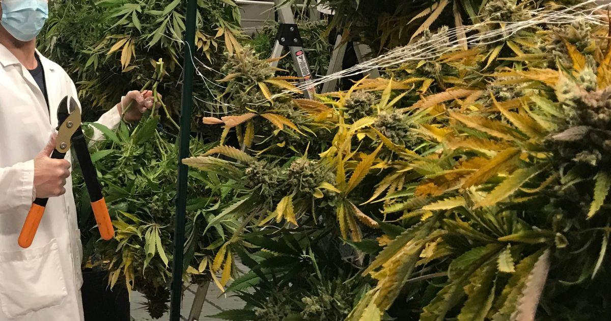 It’s Harvest Time