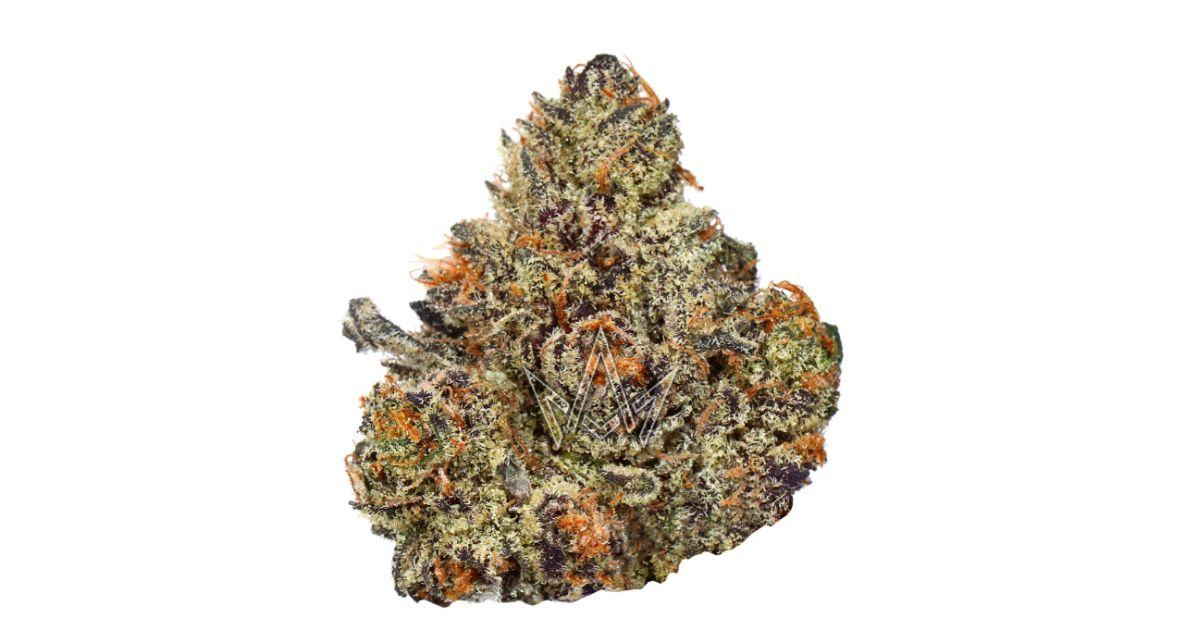 Blueberry Purp