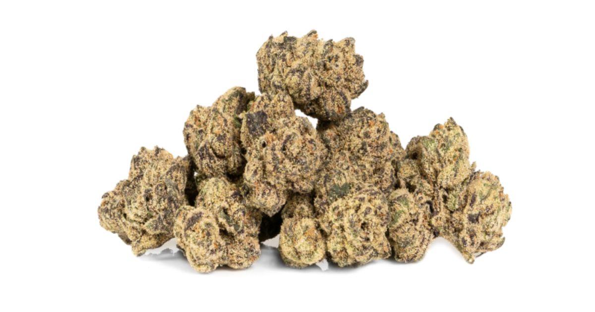 Runtz (Zkittlez x Gelato)