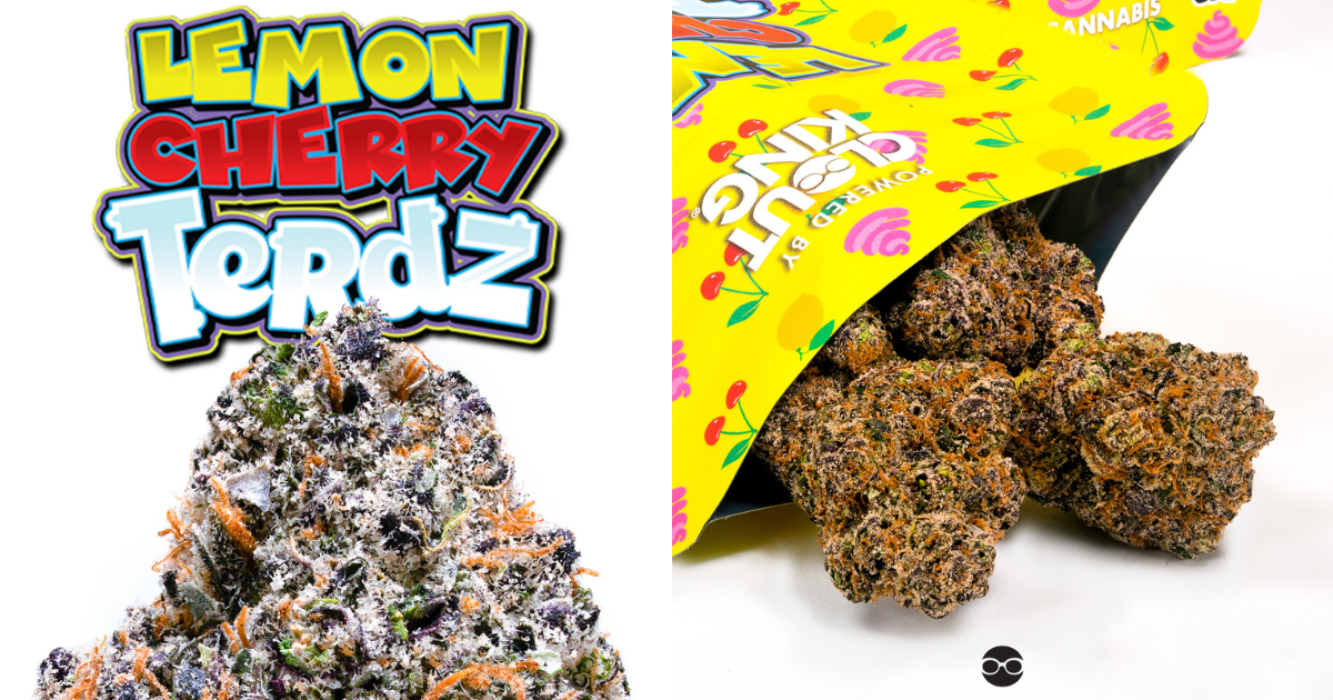 Lemon Cherry Terdz