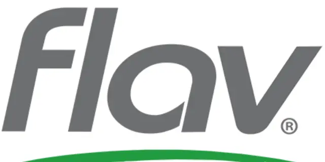 Flav Logo