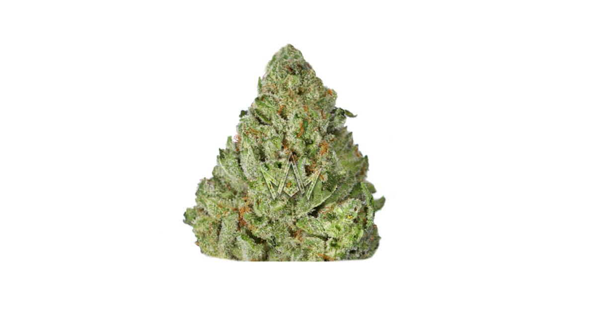 Snow White: A Frosty Delight