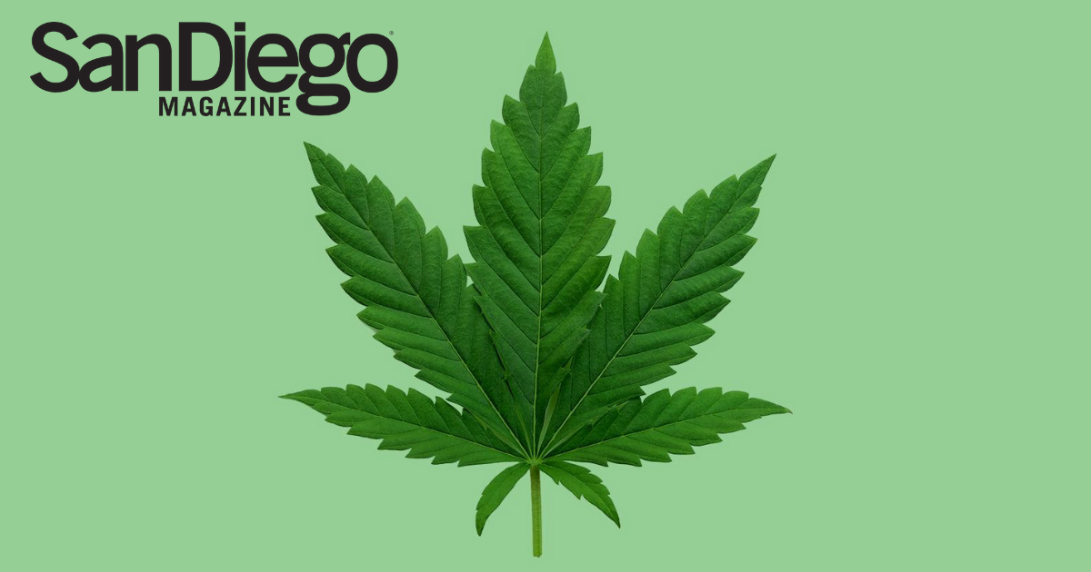 And the Hot New Cooking Ingredient Is… Cannabis!