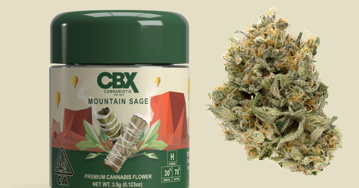 Cannabiotix