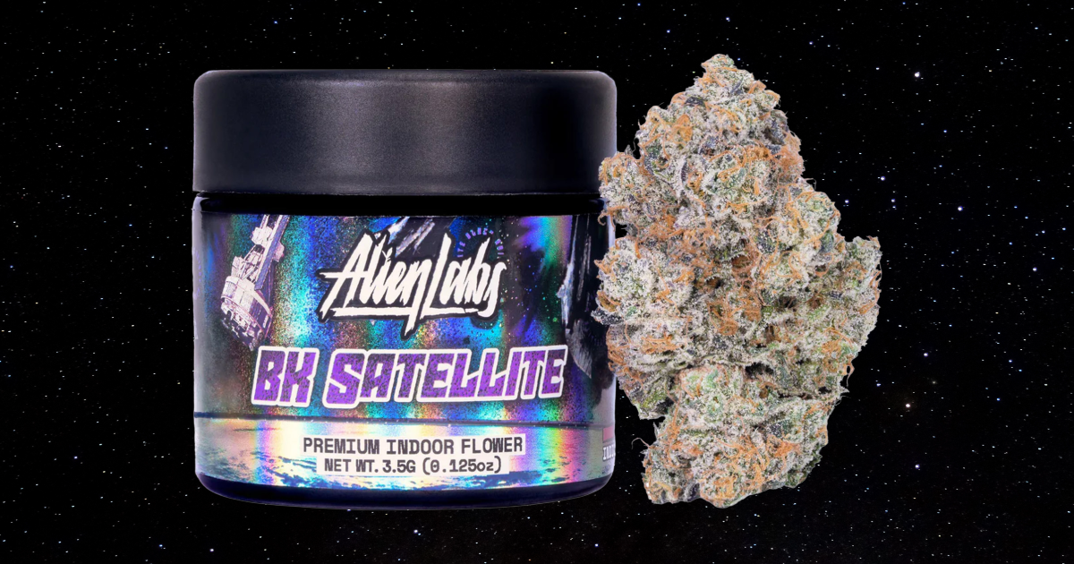 #8 – Alien Labs | BK Satellite