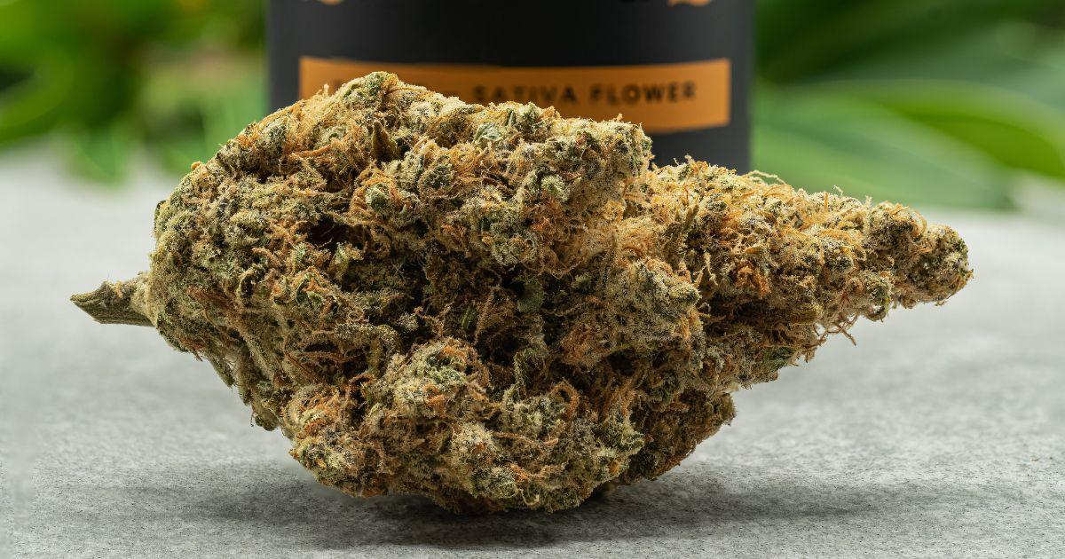 Tangie Ting - Blem