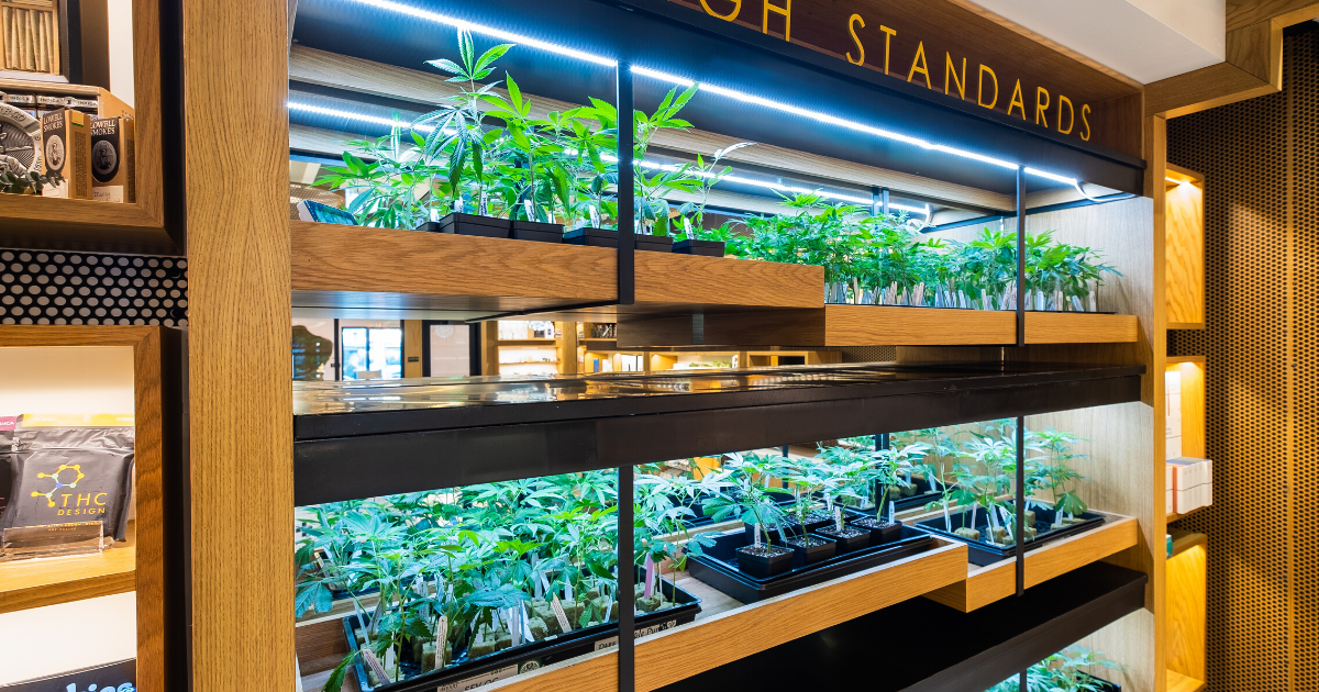 Visiting Us In Store