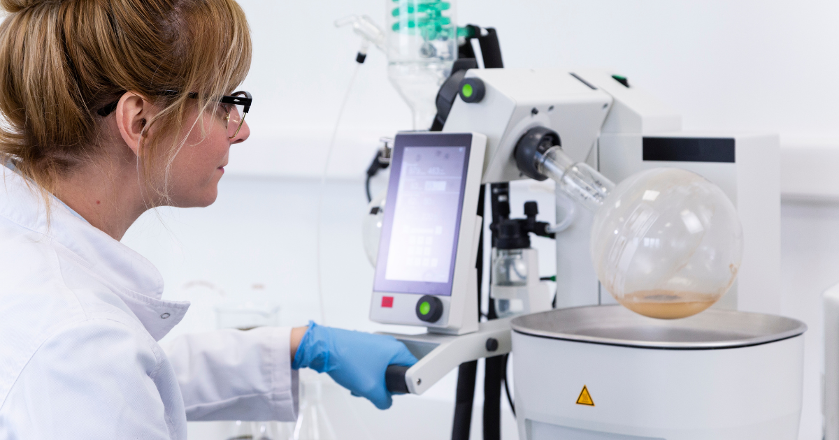 How are the compounds extracted from cannabis?