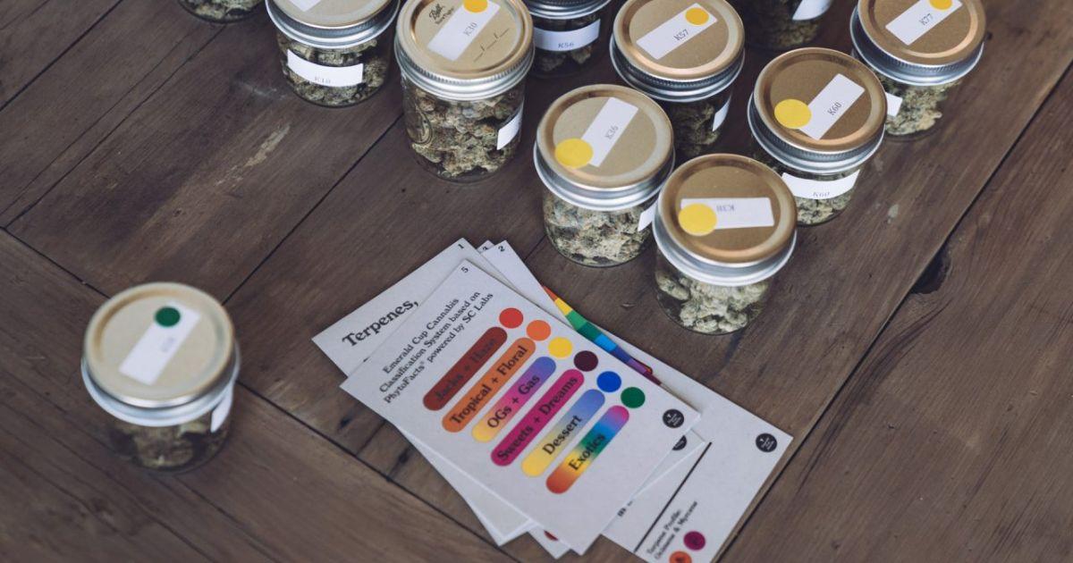 The Emerald Cup Cannabis Classification System