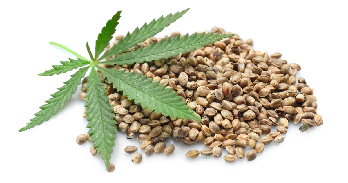 Seeds