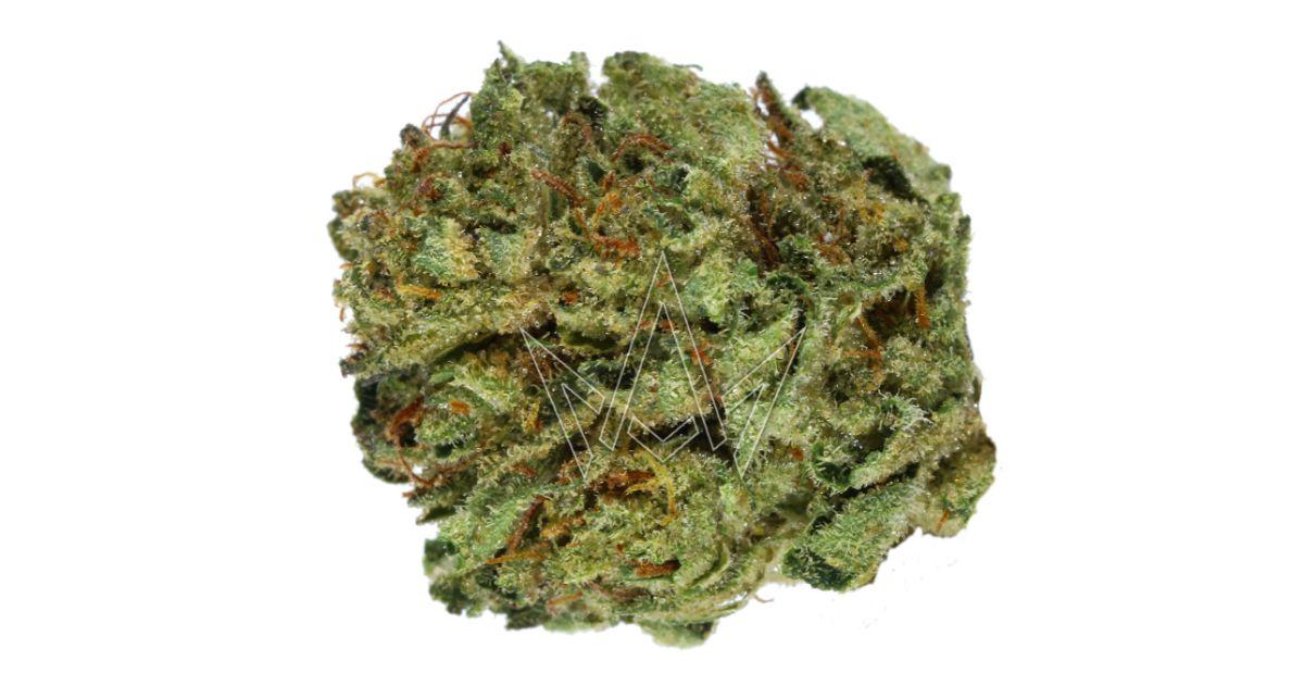 Guava Gas - Island