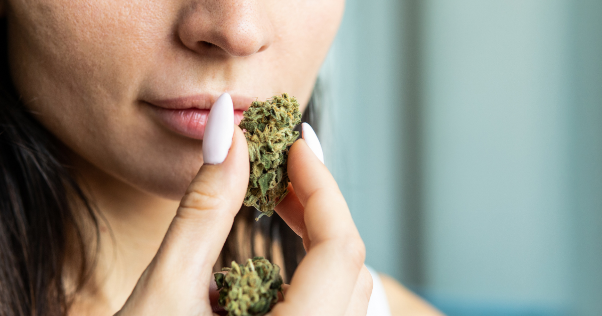 THC Percentage Doesn't Equate to High-Quality Cannabis