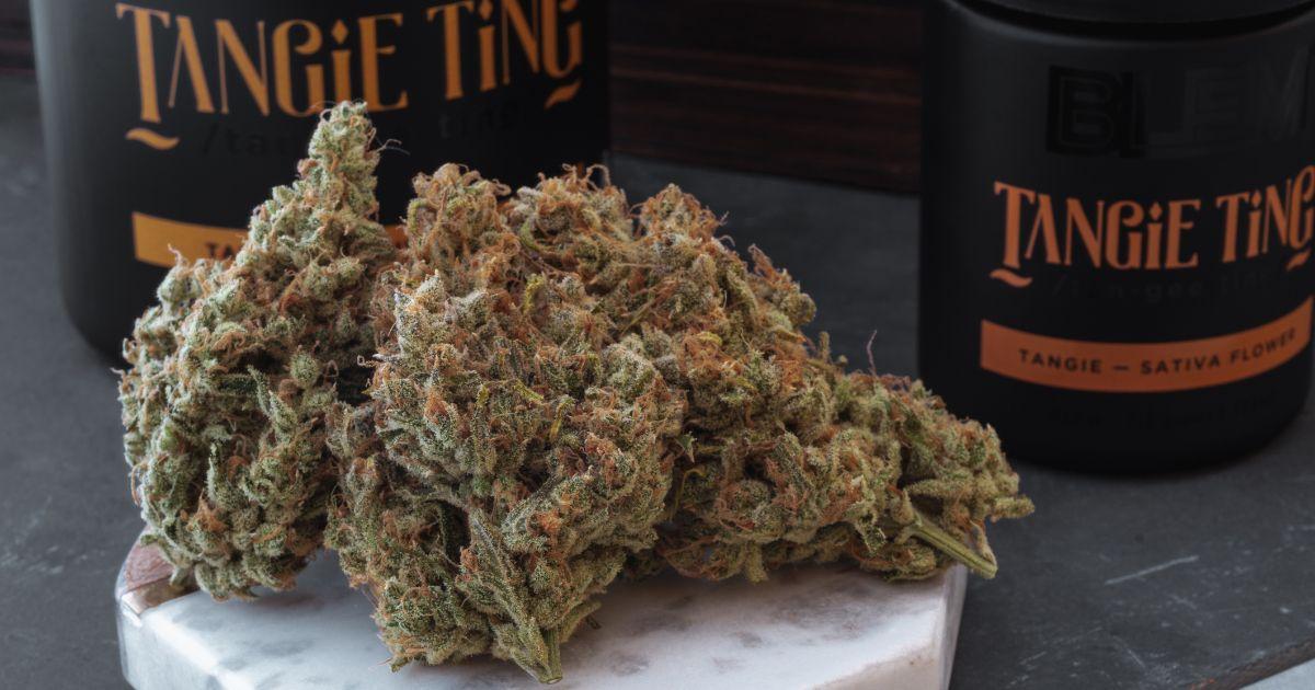Tangie Ting - Blem