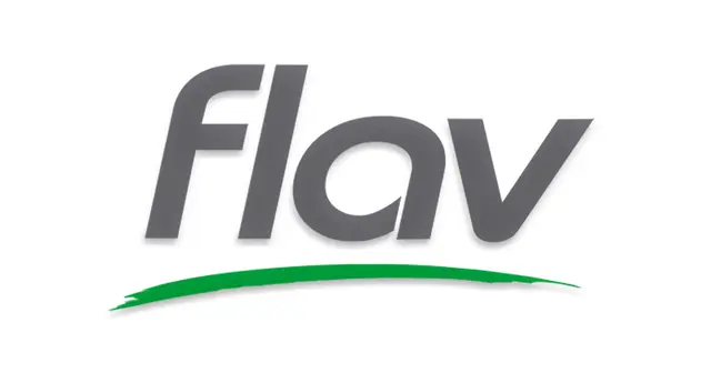 flav logo