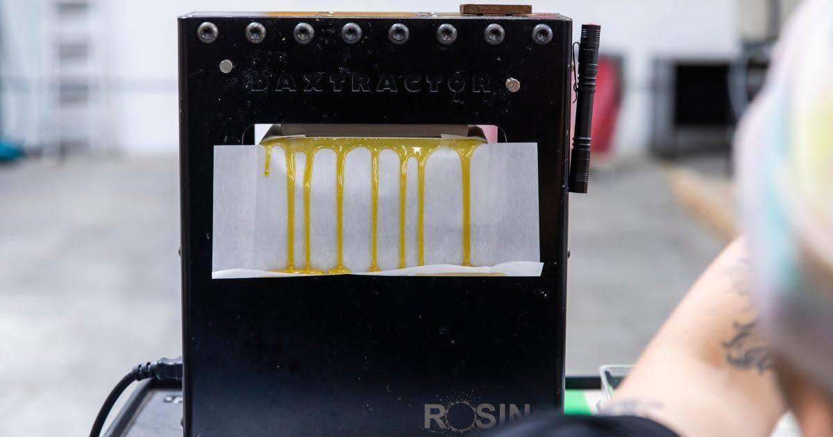 Mastering the Art of Hash Pressing