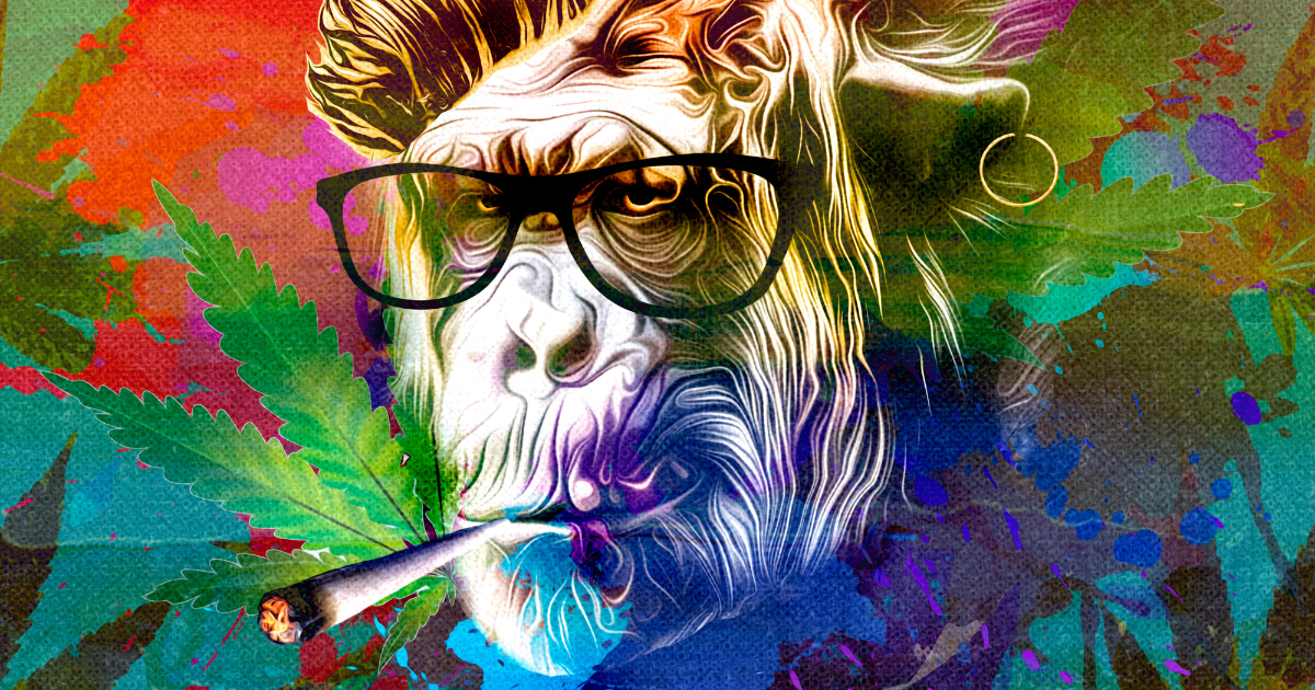 Art Born from the Plant: Cannabis as a Muse
