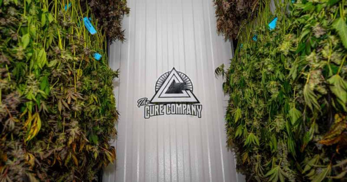 From Medical Marijuana to Recreational Cannabis