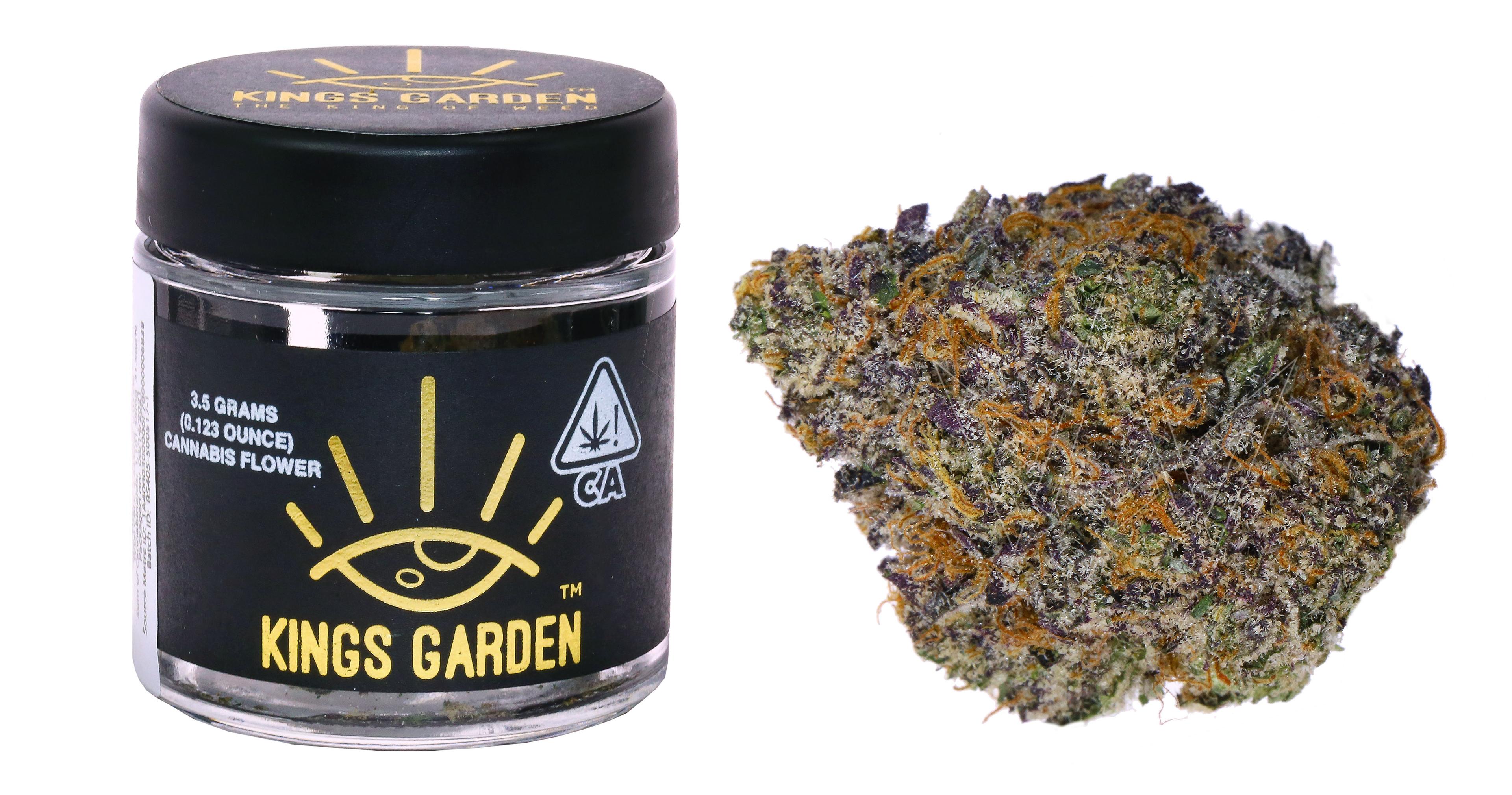 King's Garden - Purple Mamba