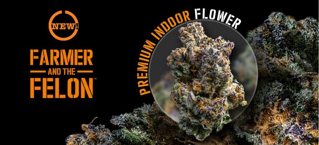FNF Indoor Web Hero