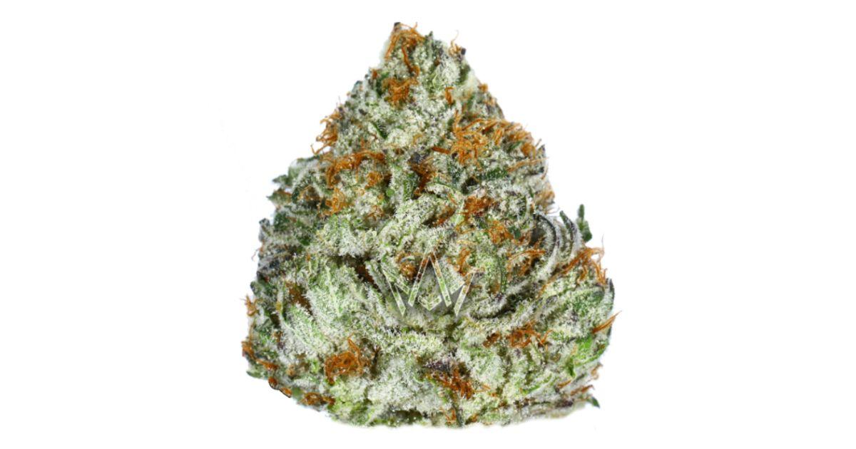 Guava Gelato
