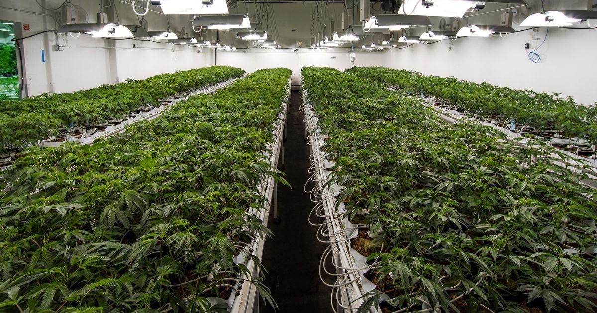 Always Pesticide Free