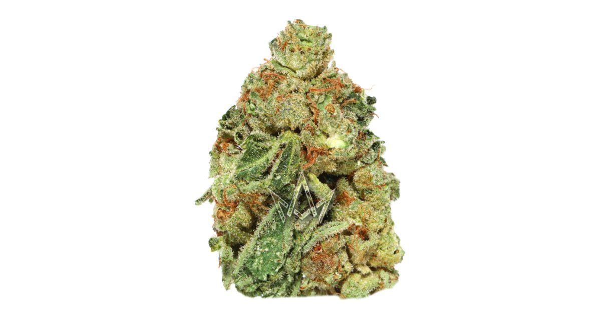 Apple Tarts - West Coast Cure