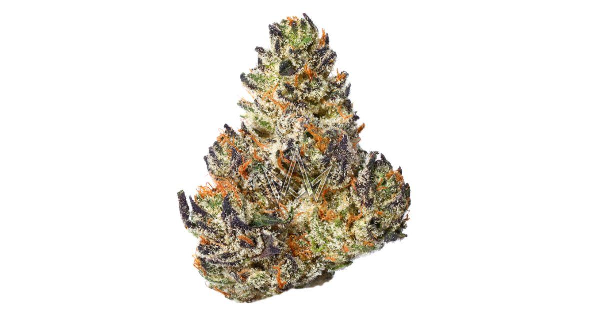 KryptoChronic