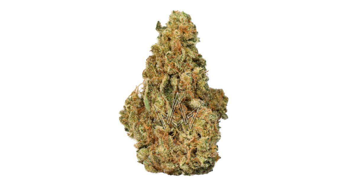 Jack Herer