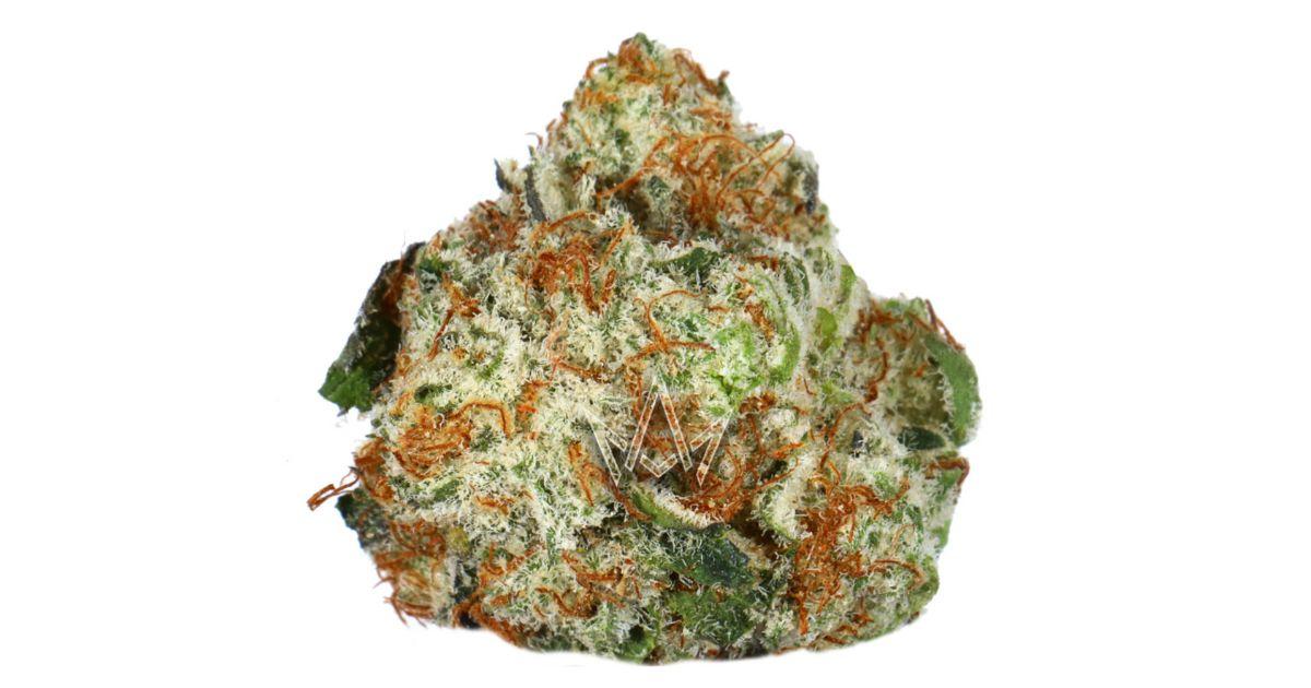 Angel Cake - Green Dragon