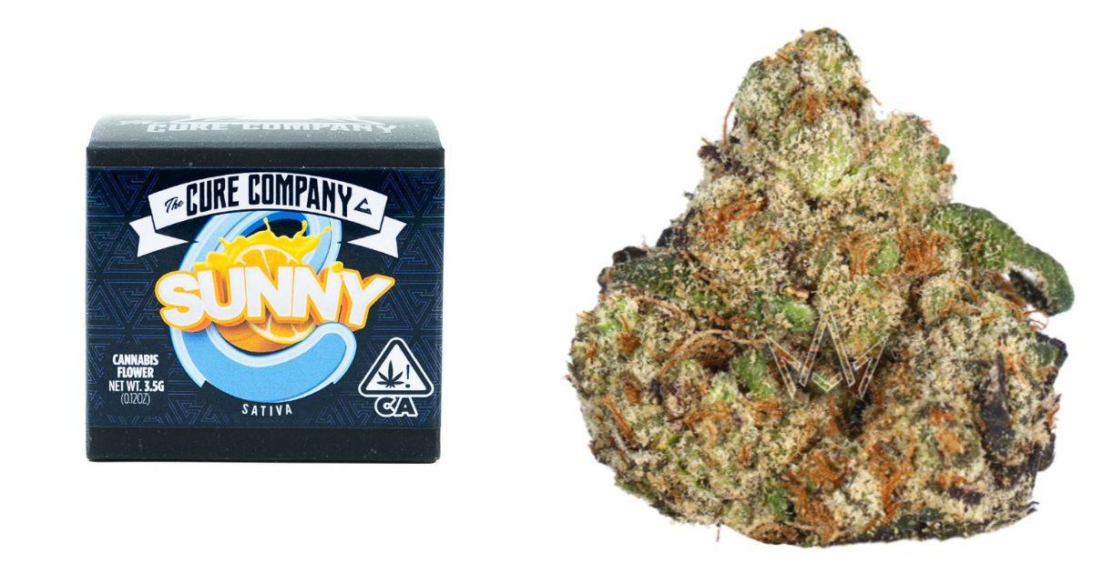 Sunny-C