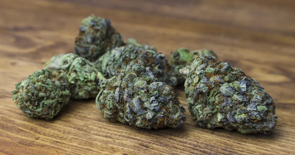 Assorted green cannabis buds on a wooden surface