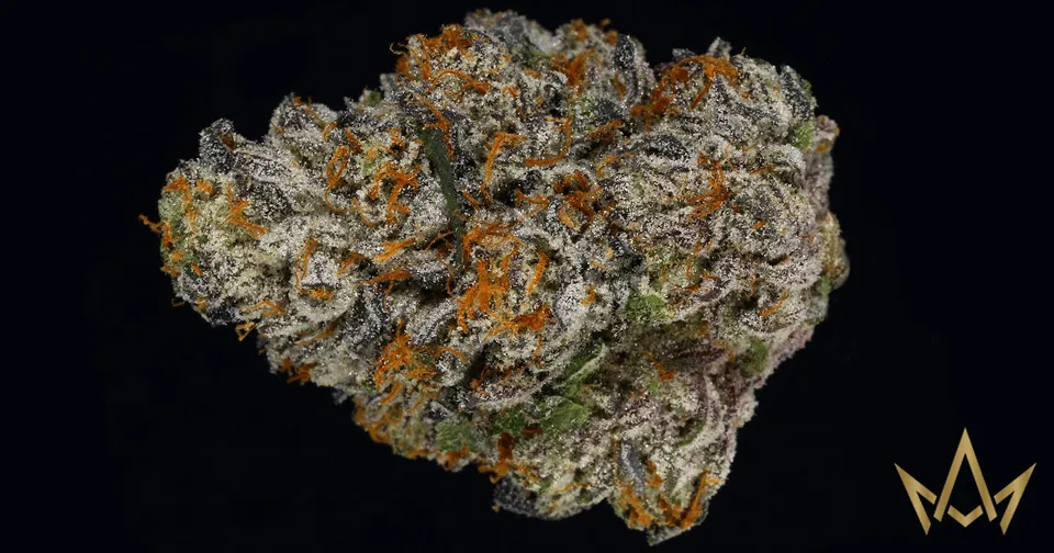 Close-up of a frosty cannabis bud with orange hairs on a black background