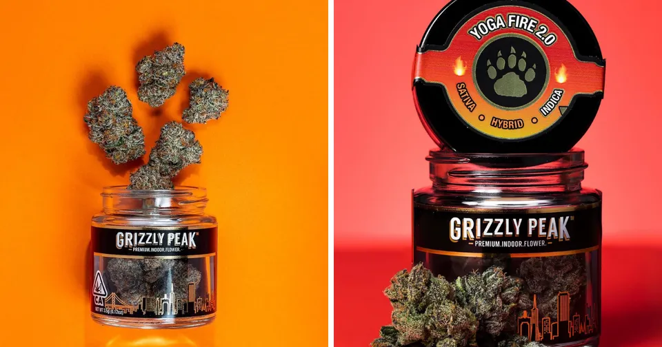 Two Grizzly Peak cannabis jars with flower and a branded disc on an orange-red background