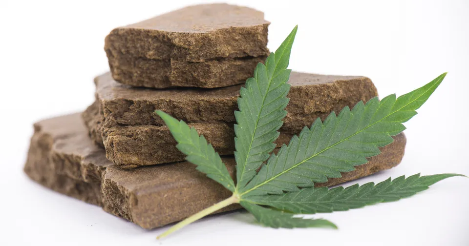The History of Hash - Past and Present — featured image