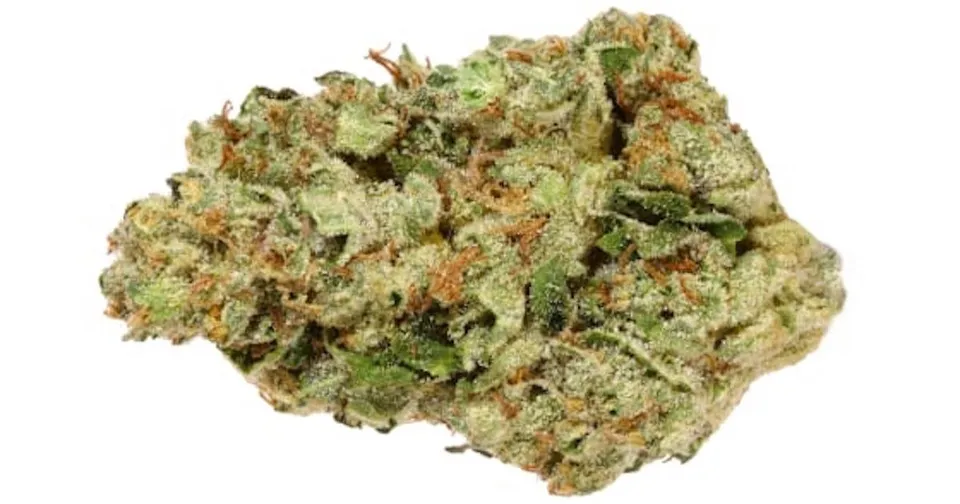 Close-up of a green cannabis bud with orange hairs on a white background