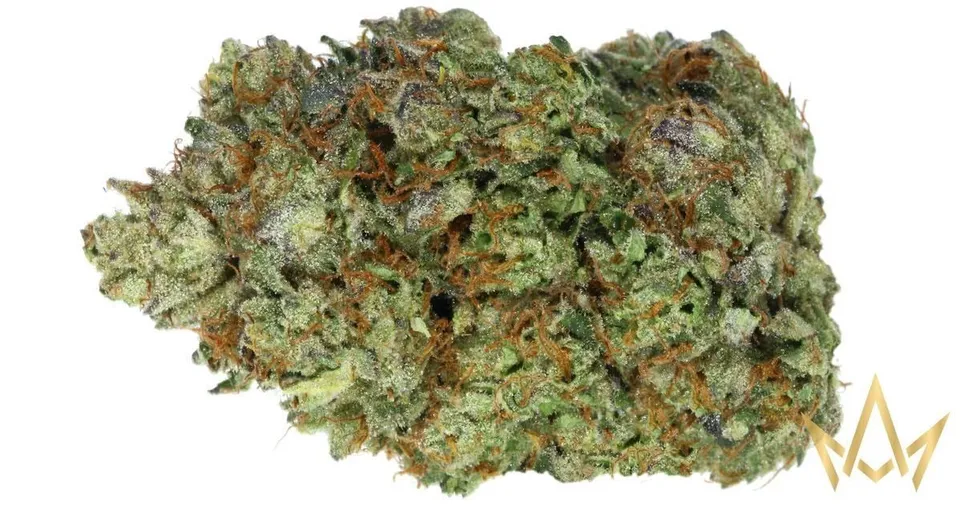 Close-up of a green cannabis bud with orange hairs on a white background