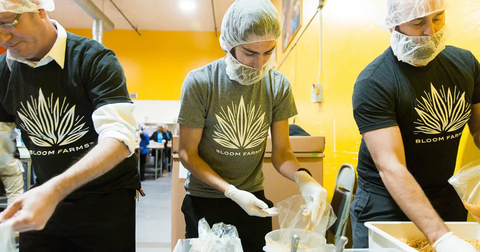 Three workers in hairnets and black shirts preparing food in a bright kitchen